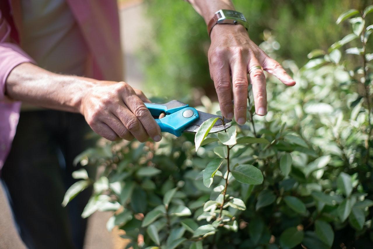 Gartenarbeit