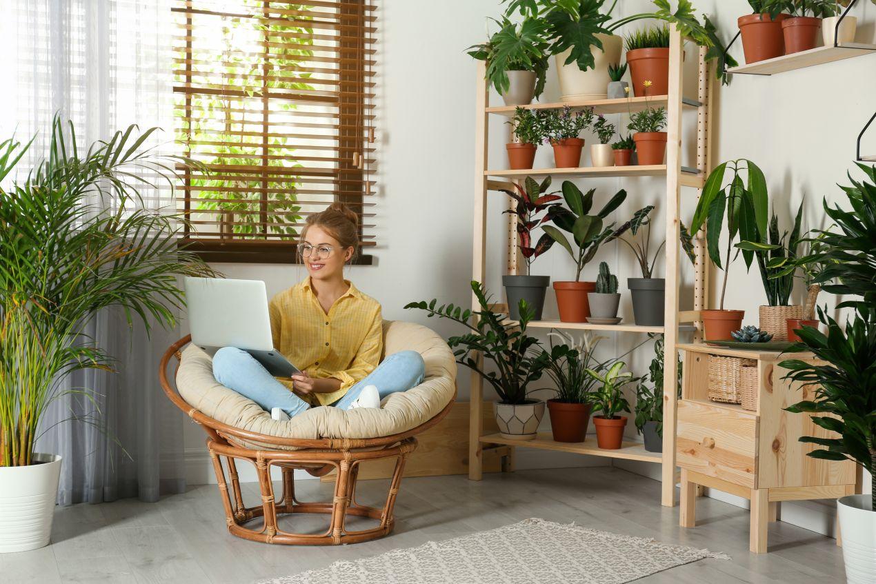Junge Frau arbeitet am Laptop in einem Wohnzimmer voller Pflanzen in verschiedenen Blumentoepfen auf Holzregalen