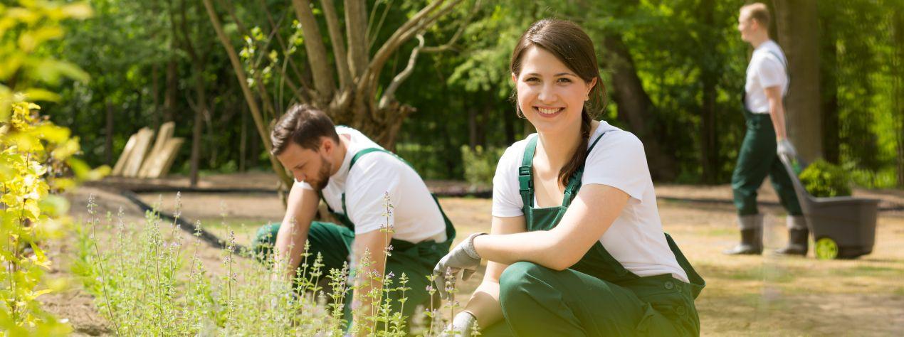 Gartenbau-Team in Walldorf bei der Pflege von Pflanzenbeeten in einer Gruenanlage, mit Arbeitskleidung und Geraeten im Einsatz