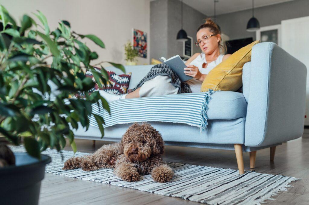 Frau liest auf Sofa mit Hund im Raum | Lost Mary Tappo