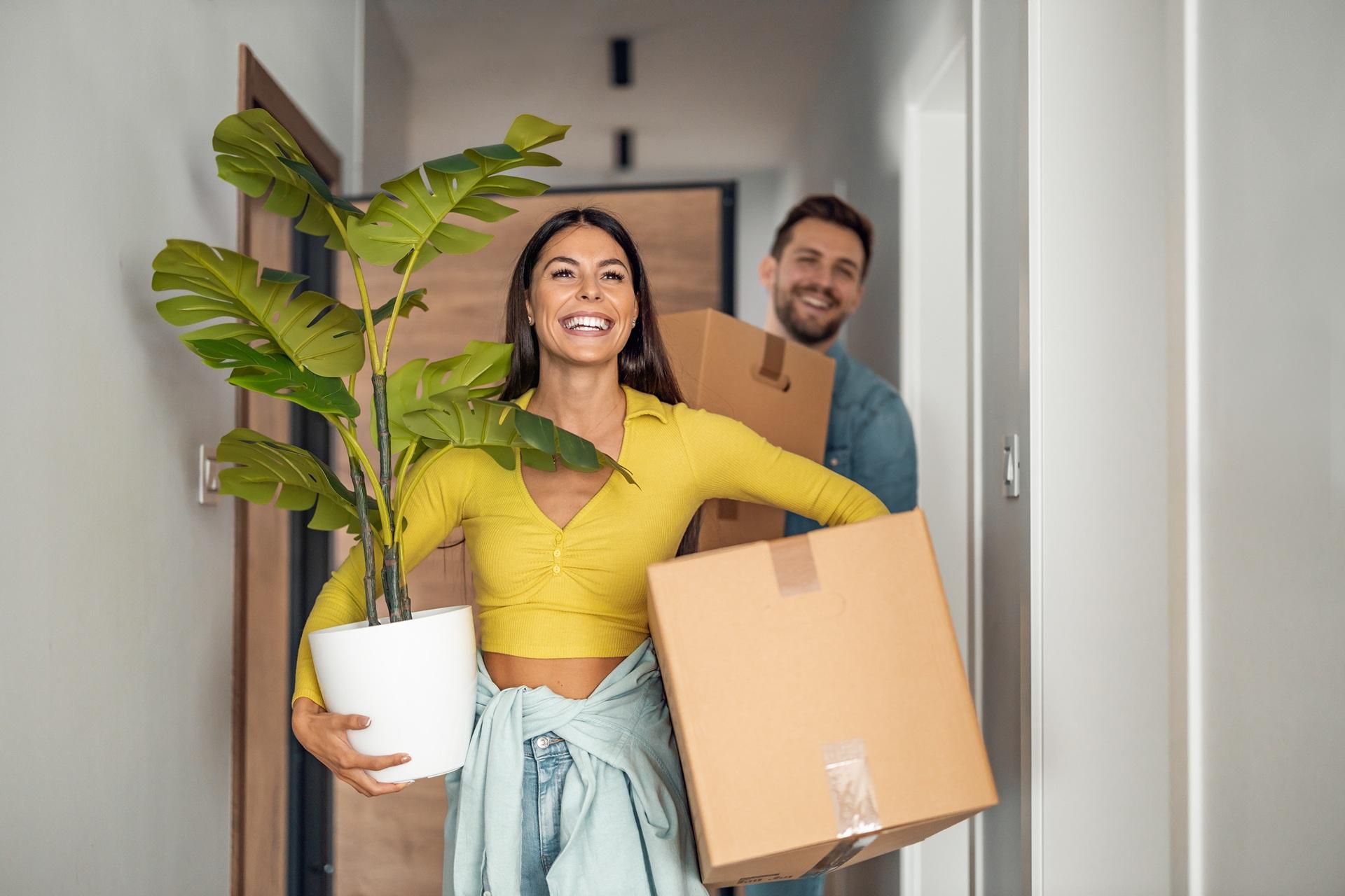 Paar trägt Kartons und Pflanze in neue Wohnung | Schrenzpapier